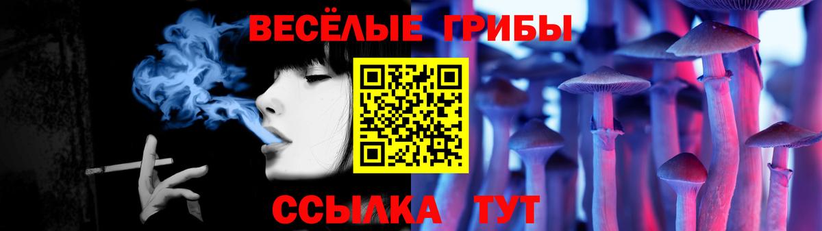 Гусь-Хрустальный  Галлюциногенные грибы Magic Shrooms  Вход с VPN  Галлюциногенные грибы GOLDEN TEACHER 